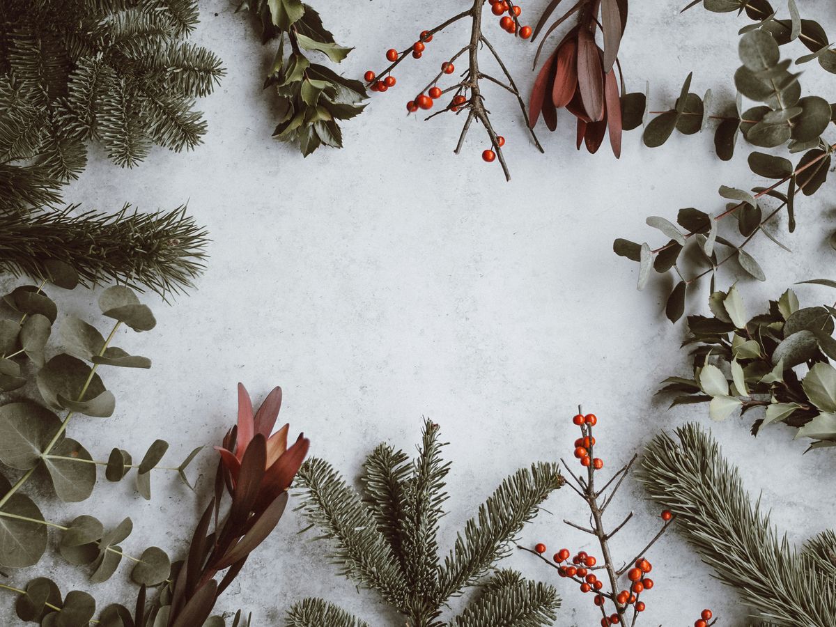 Christmas Spending Statistics by Income