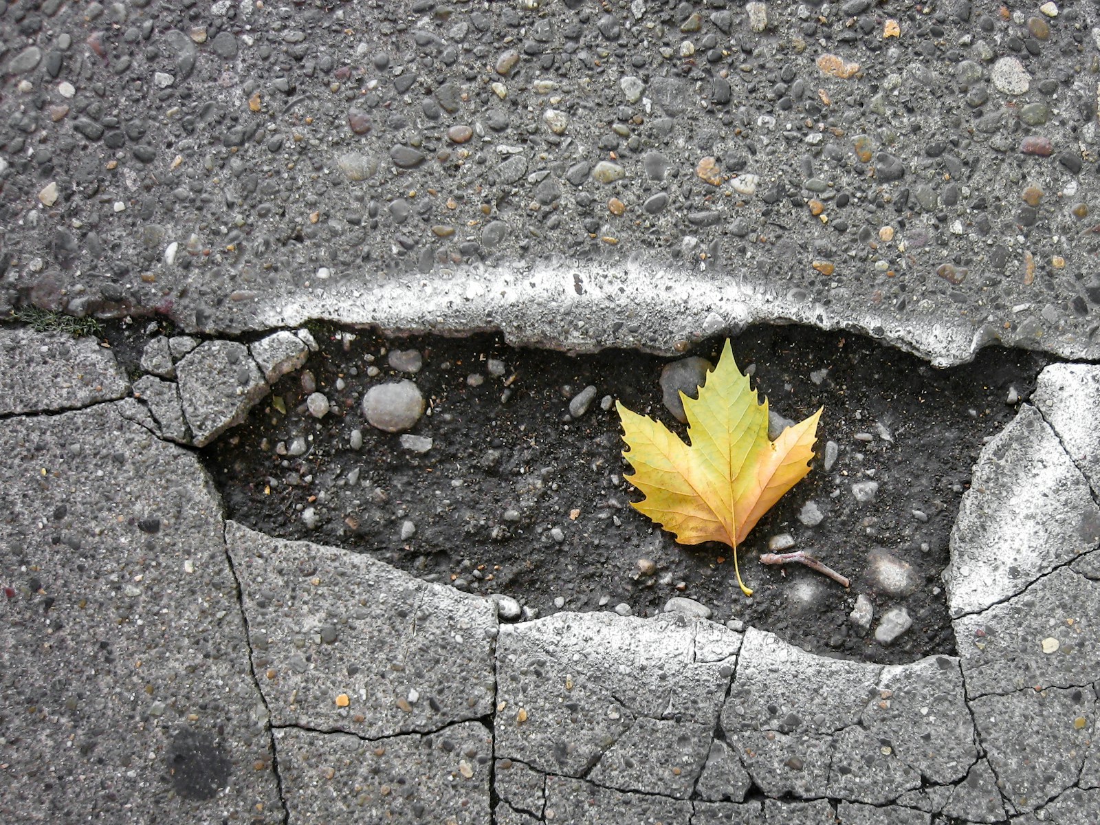 8 Steps to Get Pothole Damage Money
