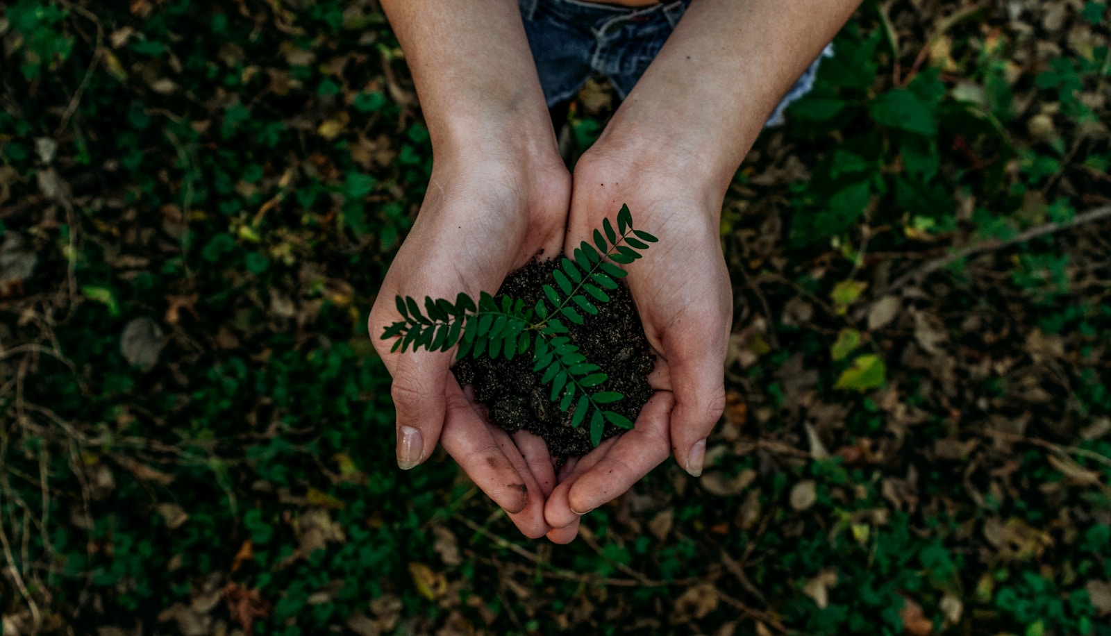 Sustainability Trends in the Steel Industry