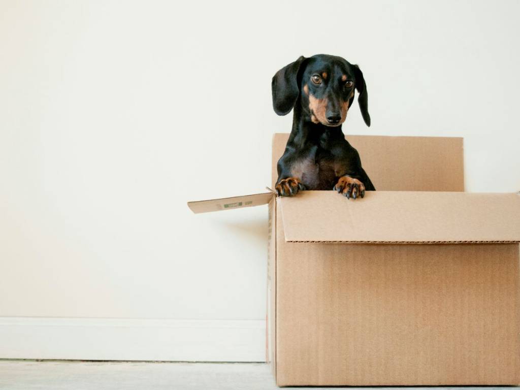 P.O. Box Prices: What You'll Really Pay in 2024