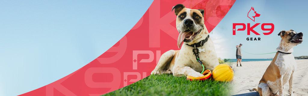 PK9 Gear Challenges 'Fast Fashion' Pet Market With New Guide to Durable Dog Collars
