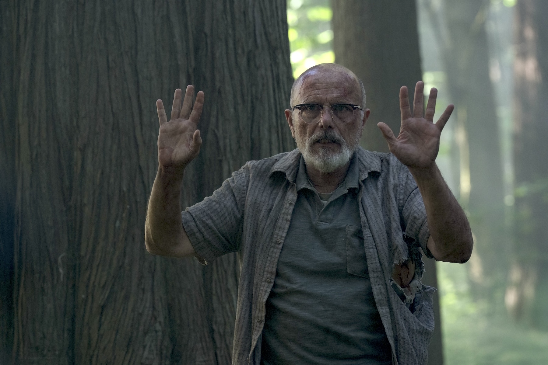 Joe Pantoliano The Last of Us