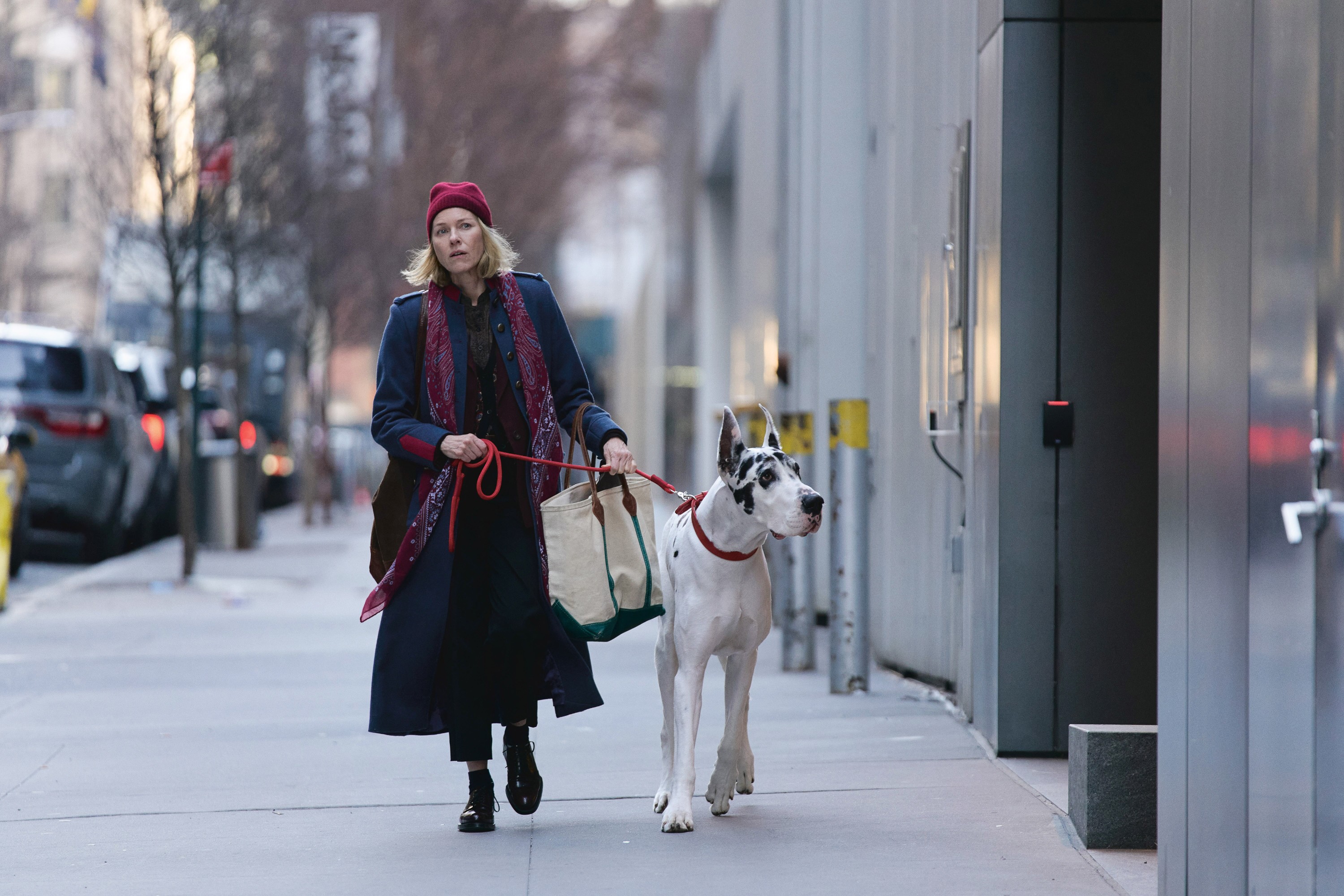 THE FRIEND, from left: Naomi Watts, Bing, 2024. ph: Matt Infante / © Bleecker Street Media / Courtesy Everett Collection