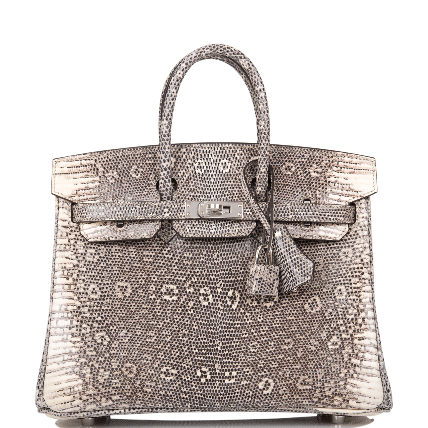 most expensive purses in the world, worlds most expensive purses, ombre birkin 25, lizard skin bag, parchemin chevre leather, Varanus salvator lizard skin rare purses