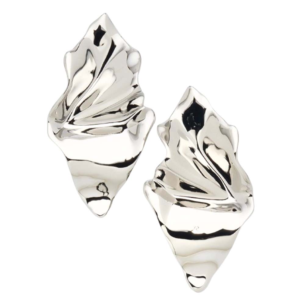 silver earrings
