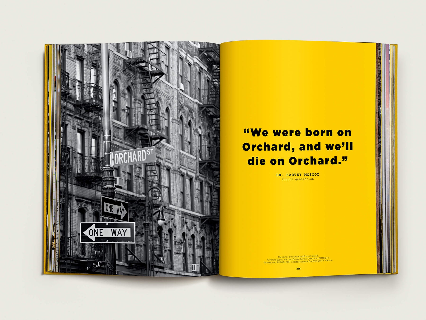 The Moscot book with Maison Assouline.