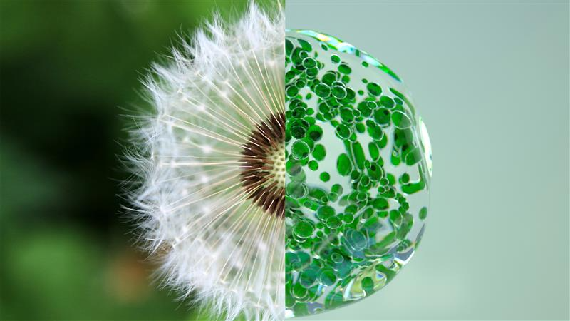 Biomimetics helps L'Oréal reach its sustainability goals.