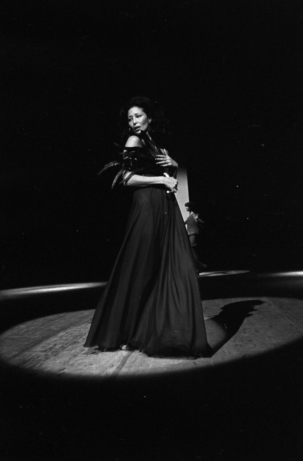 China Machado on the runway posing during the fashion show to benefit the restoration of the Chateau of Versailles, five American designers matching talents with five French couturiers at the Versailles Palace on November 28, 1973 in Versailles, France...Article title: 'One night and pouf! It's gone!