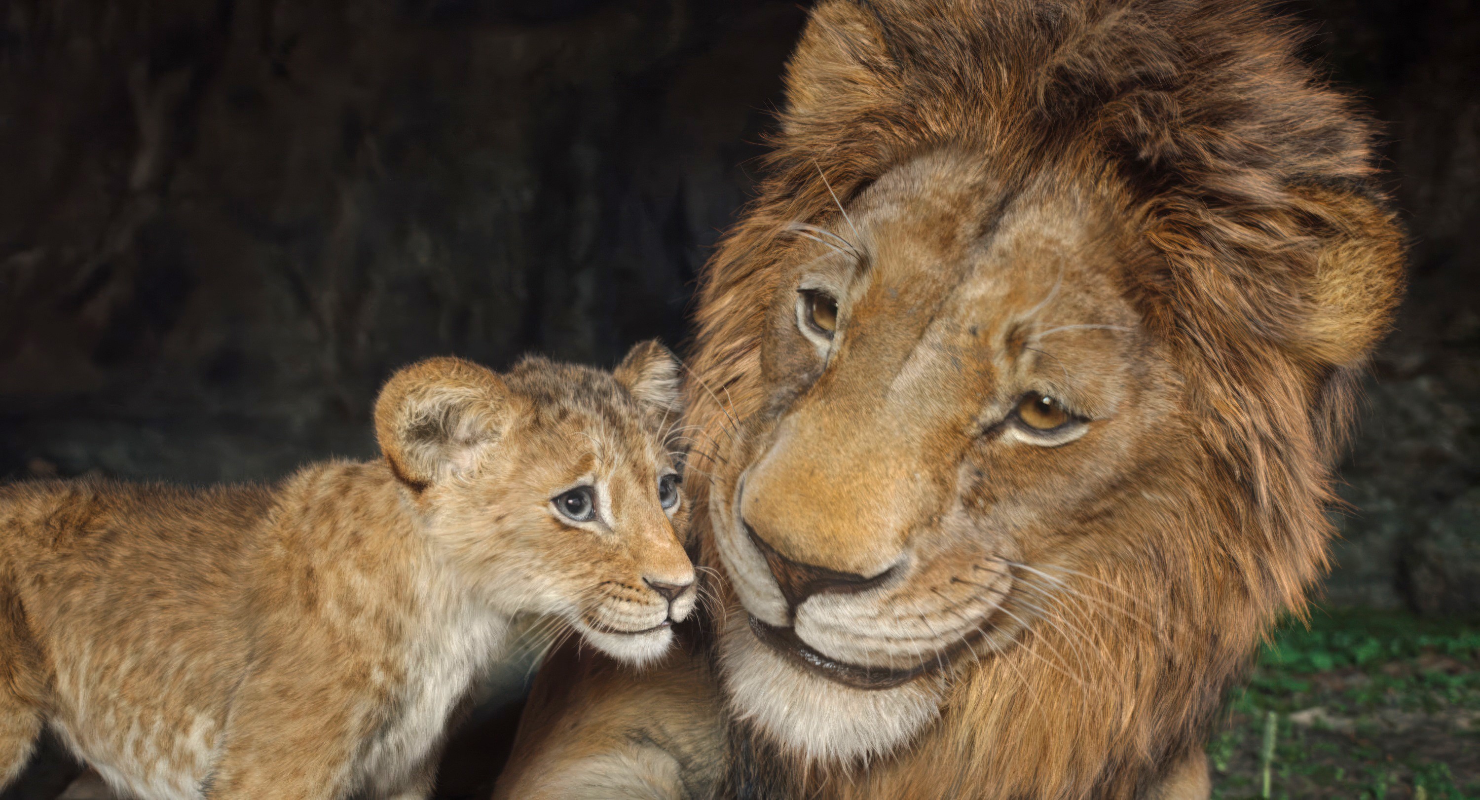 MUFASA: THE LION KING, from left: Kiara (voice: Blue Ivy Carter), Simba (voice: Donald Glover), 2024. © Walt Disney Studios Motion Pictures /Courtesy Everett Collection