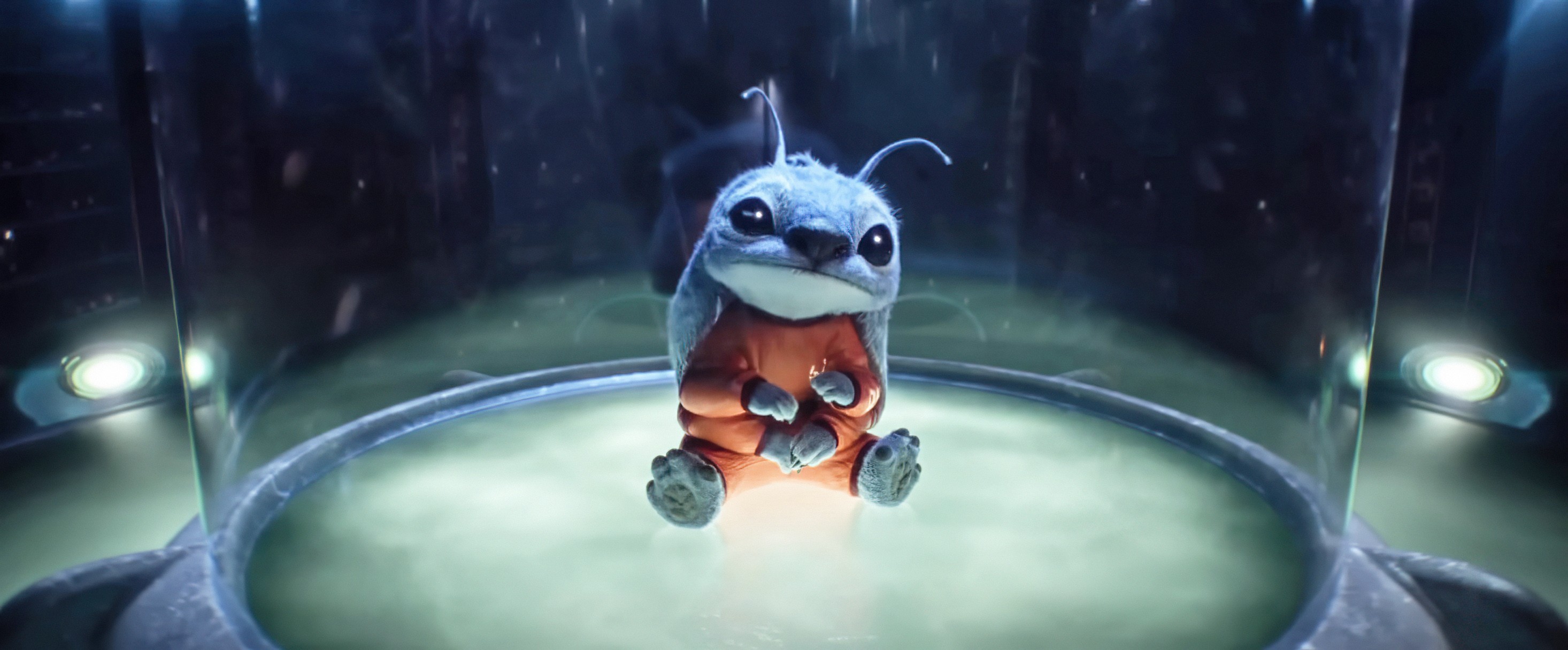 LILO & STITCH, (aka LILO AND STITCH), Stitch (voice: Chris Sanders), 2025. © Walt Disney Studios Motion Pictures / Courtesy Everett Collection