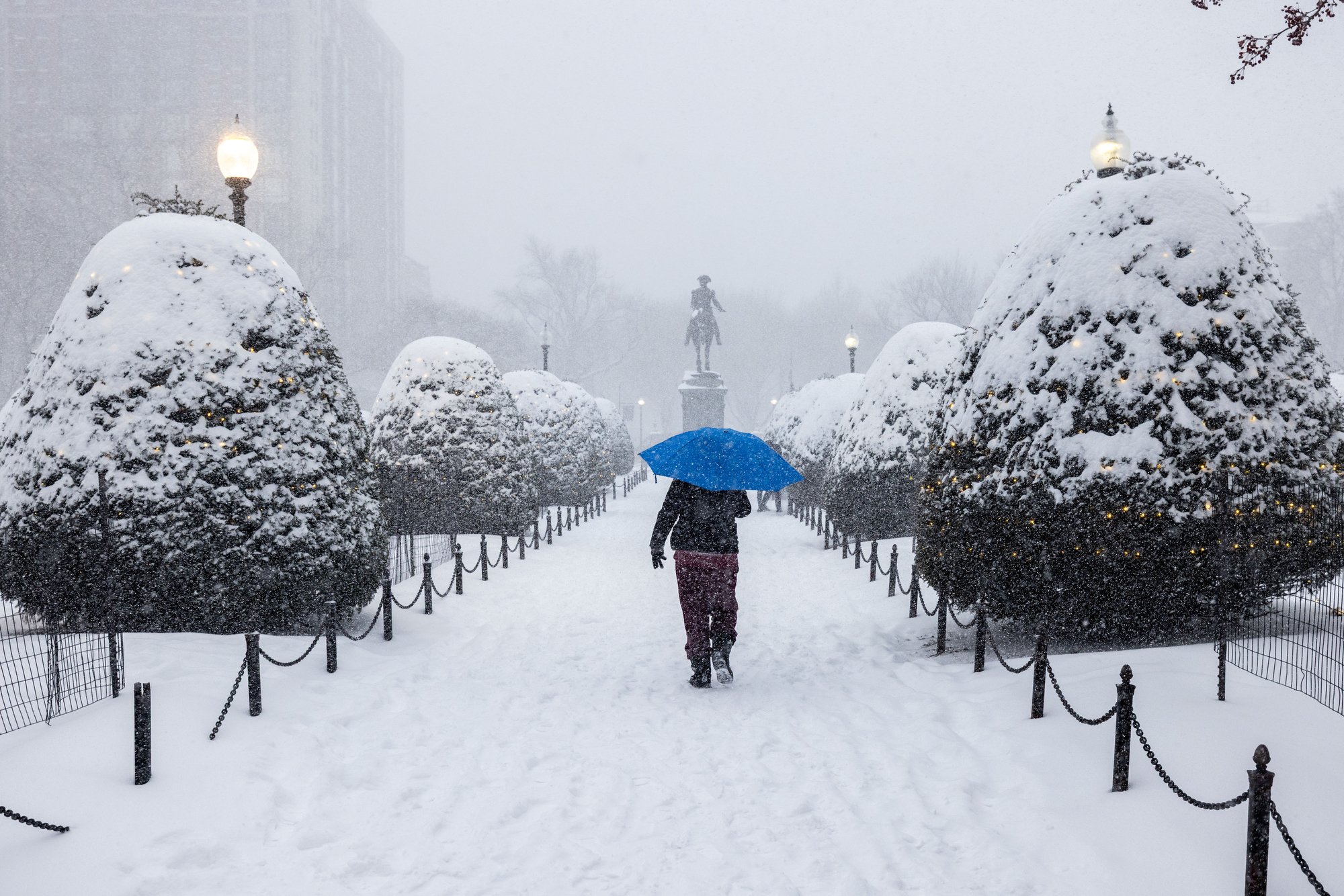 BOSTON, MASSACHUSETTS - JANUARY 25: A person walks through Boston Public Garden during heavy snow on January 25, 2026 in Boston, Massachusetts. A massive winter storm is bringing frigid temperatures, ice, and snow to nearly 200 million Americans. (Photo by Scott Eisen/Getty Images)